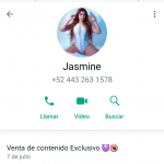 FRAUDE: Jasmine Flores de twitter